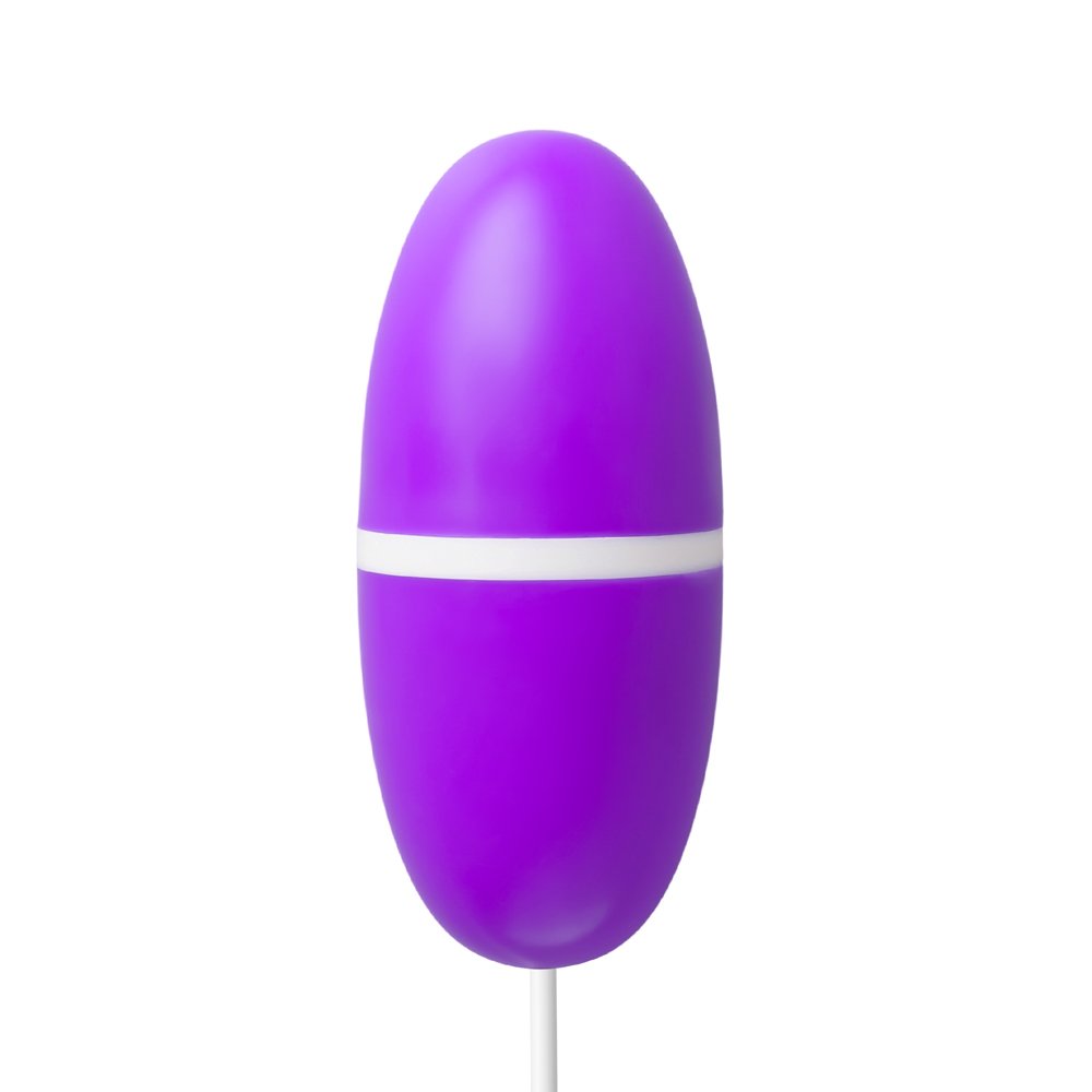 12 Speed Rechargeable Vibrating Egg
