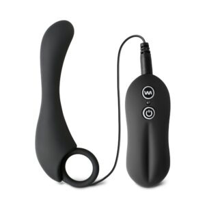 10 Speeds Prostate Stimulator