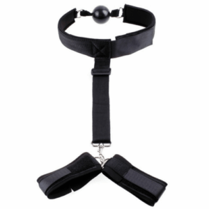 Gag & Wrist Restraint