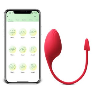 App Controlled Vibrating Egg