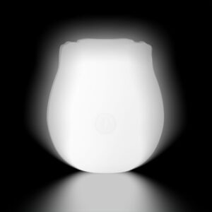Glow-in-the-Dark Rose Clitoral Suction